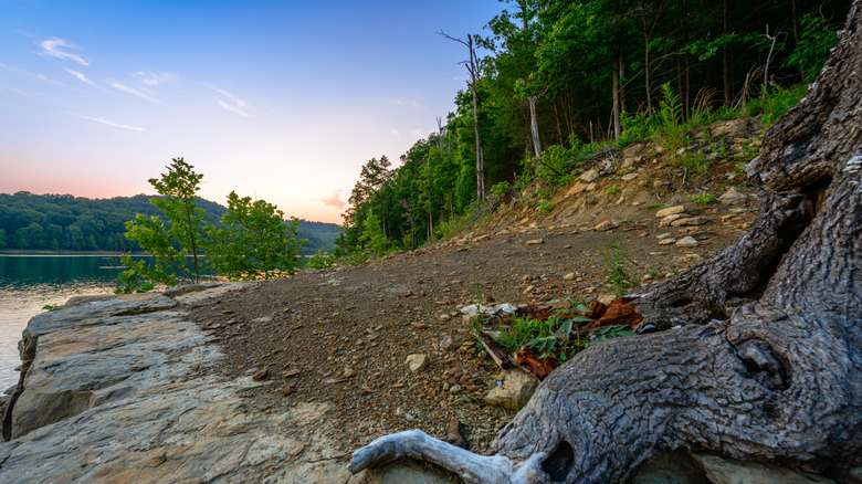 Cave Run Lake in the Daniel Boone National Forest
