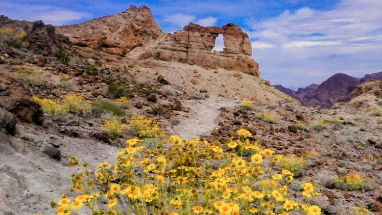 The liberty bell arch with wildflowers