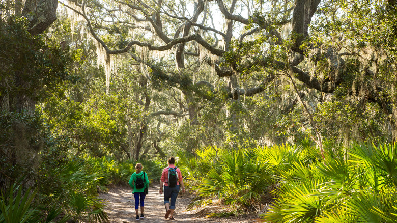 Women hiking through lush forest
