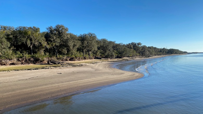 Beach along a maritime forest