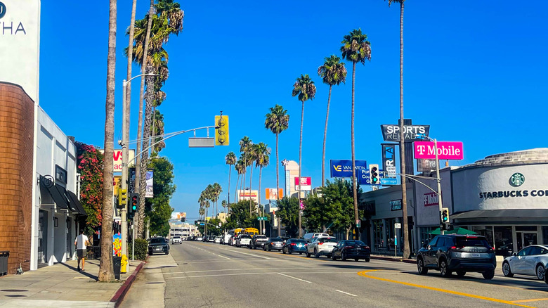 Row of shops and cafes on Ventura Boulevard in Studio City.