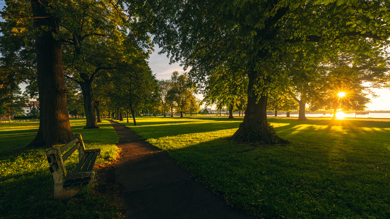 Image of a park in Bridgetown in Connecticut