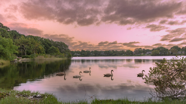 Eagle Lake in Maine
