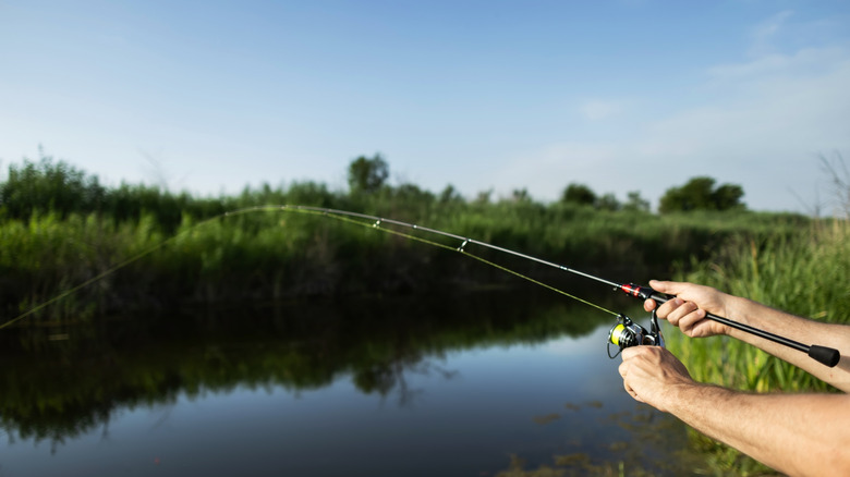 Man catching fish