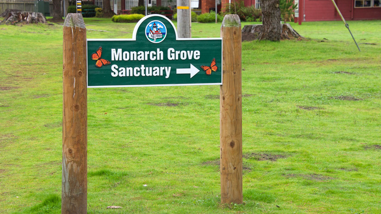 The sign for the Monarch Grove Sanctuary