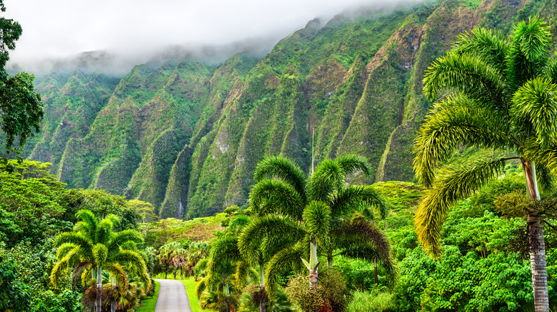 The Hoʻomaluhia Botanical Garden in Kāneʻohe, Hawaii