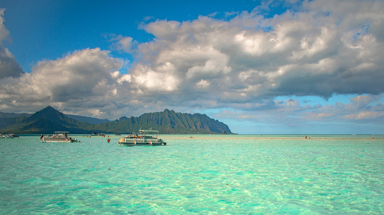 Kāneʻohe Bay Sandbar at low tide in Kāneʻohe, Hawaii