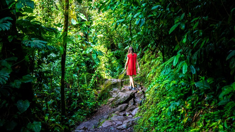 Rio Celeste