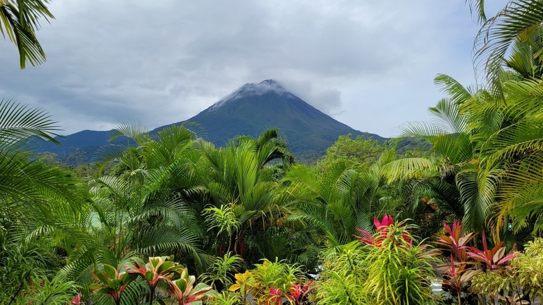 Junglescape and volcanic mountain in Costa Rica