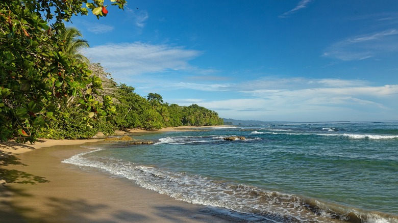 Waves and greenery at Playa Chiquita