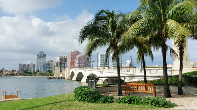 Bench and palm trees with West Palm Beach skyline in background.