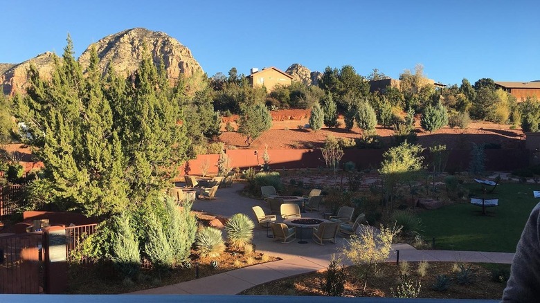 a view of the garden from a room at the Wilde Resort and Spa