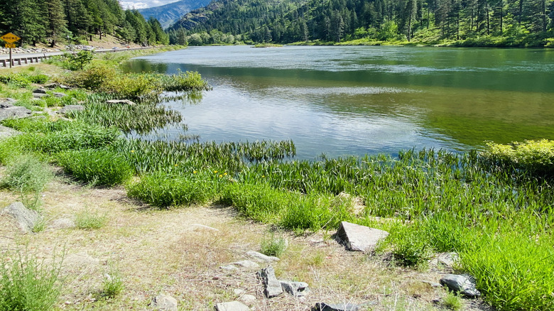 The Wenatchee River in Washington surrounded by trees and mountains.