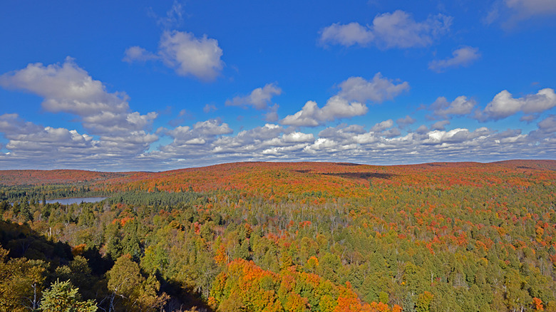 Fall colors in the Lutsen Mountains
