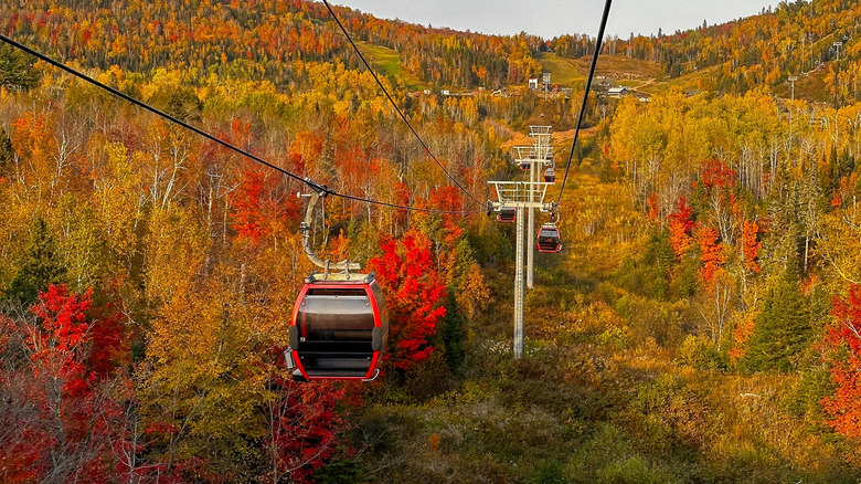 Gondolas glide above fall foliage at Lutsen Mountains