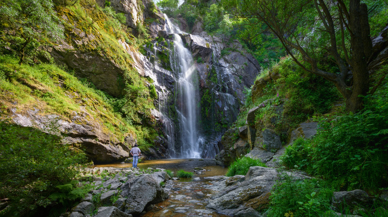 A tall, rocky waterfall surrounded forest with a person standing at its base