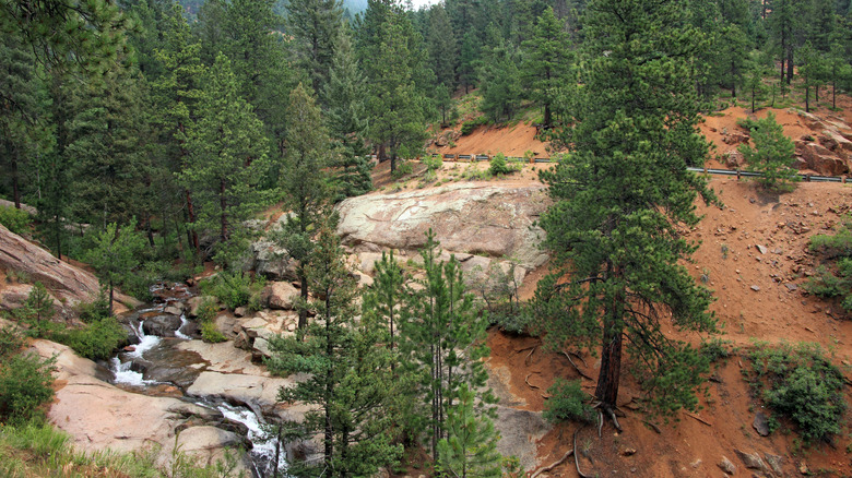 Green pine trees with rock formations and waterfalls in Broadmoor Seven Falls Park