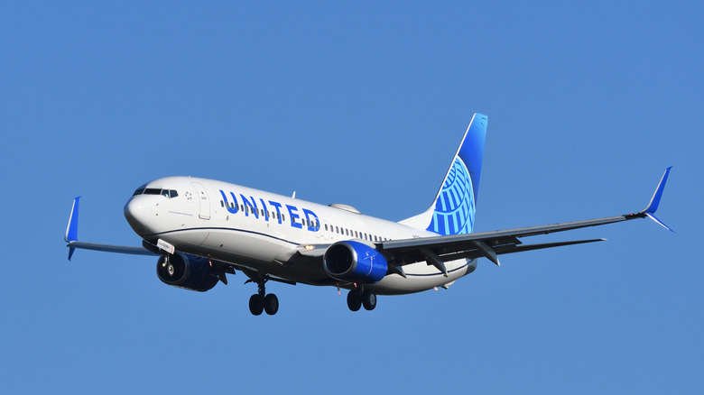 A blue and white United plane mid-flight in a clear, blue sky