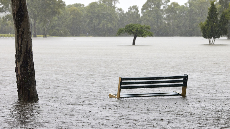 Extreme flooding in Australia as a result of La Niña
