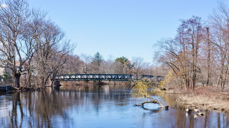 Bridge and river on Charles River Greenway in Watertown