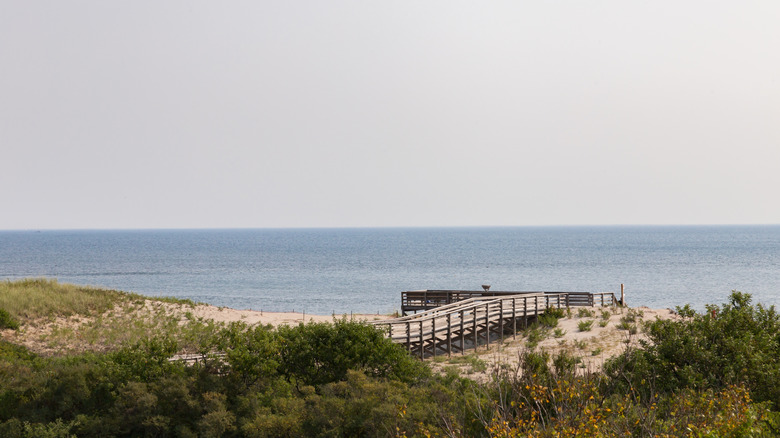 Observation deck of boardwalk