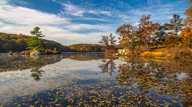 Autumn in Harriman State Park, NY