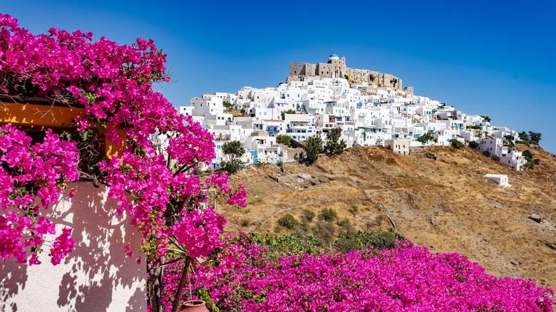 White city on a hill above flowers
