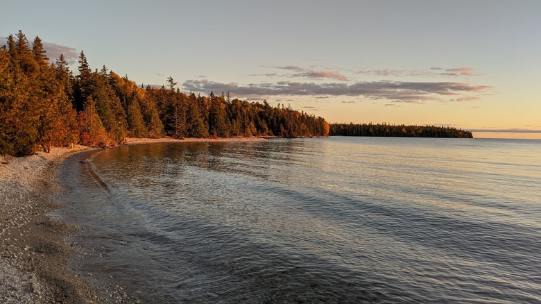 View of Lake Huron shoreline surrounded by trees at DeTour Peninsula Nature Preserve