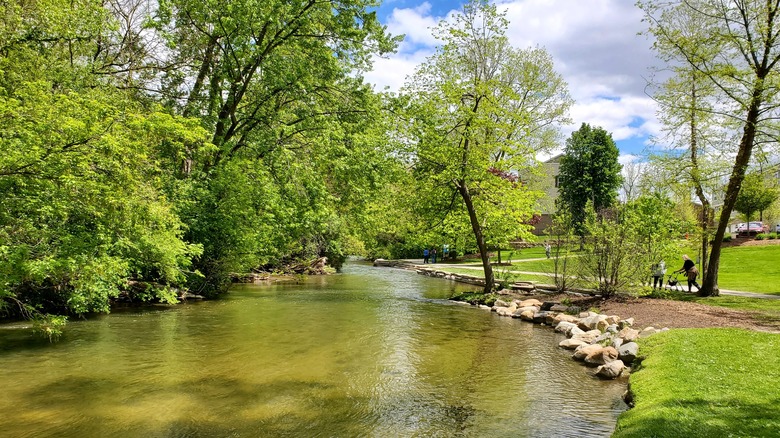 The Clinton River flowing alongside Riverside Park, with green trees on one side and the grassy park with paths on the other