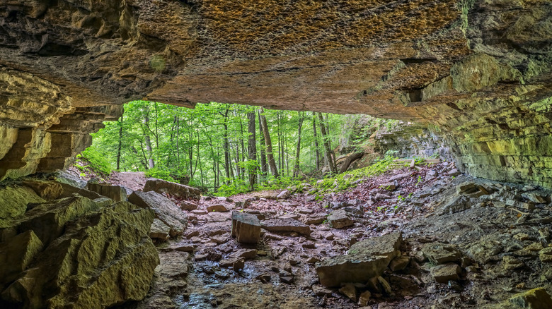 Abandoned railroad tunnel at Clifty Falls State Park