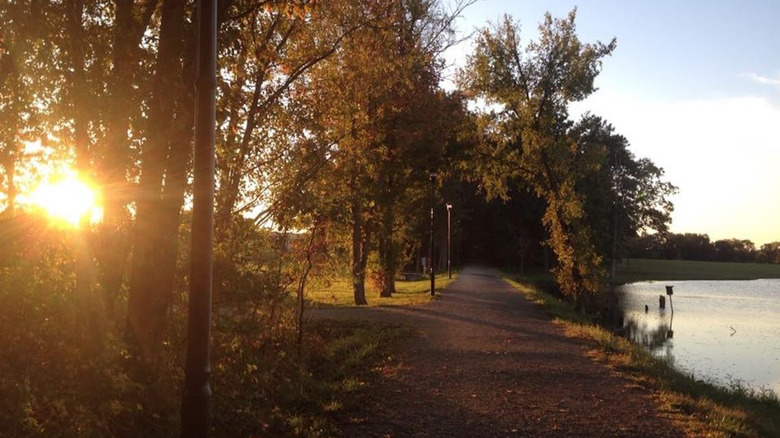 Lakeside trail with trees at sunset