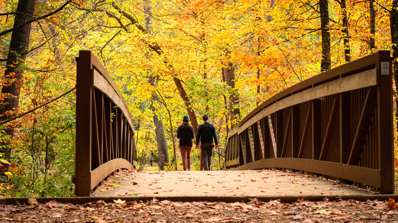 Two people walking along footbridge in fall in Delaware, Ohio, park