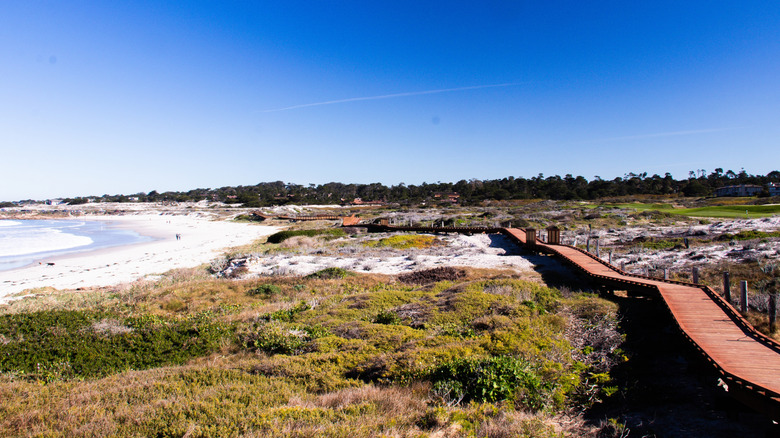 Boardwalk over the dunes at Asilomar State Beach in Pacific Grove, California