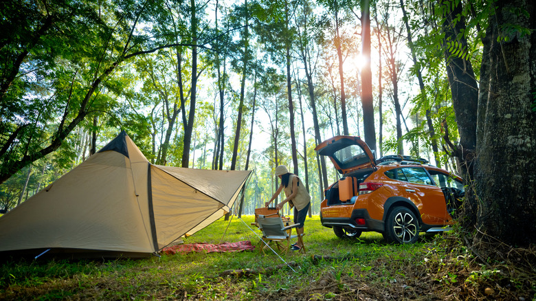 Car and tent camping setup