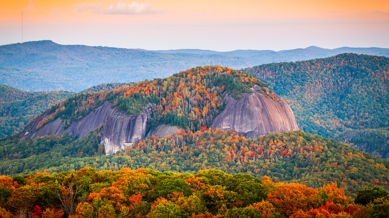 Pisgah National Forest