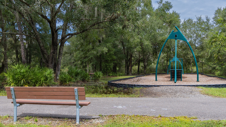 A zipline beneath shady trees at New Tampa Nature Park
