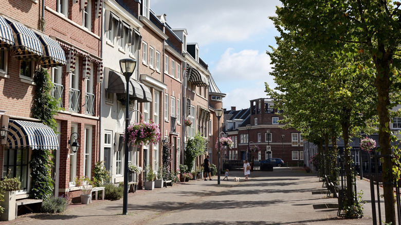Houses and shops along tree-lined street in Brandevoort on a sunny day
