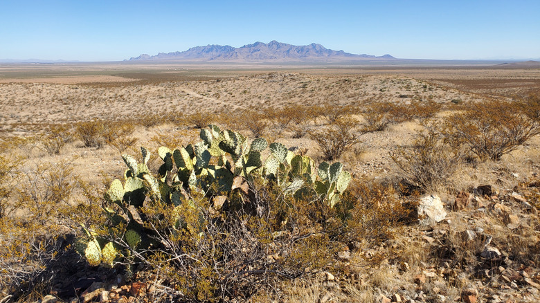 Florida Mountains from distance in Deming, New Mexico