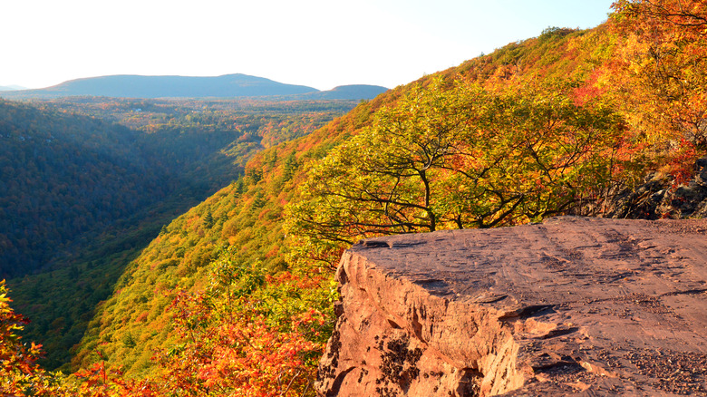 A cliff along the Escarpment Trail in Kaaterskill Clove