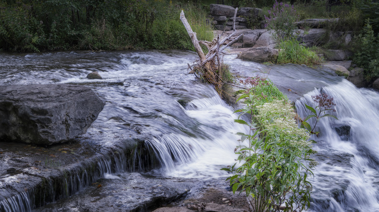 A rushing waterfall at Chittenango Falls State Park.
