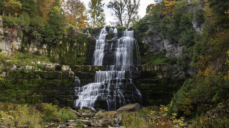 A waterfall at Chittenango Falls State Park surrounded by autumn leaves.