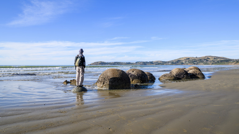 Man standing on Moeraki boulder, looking at view.