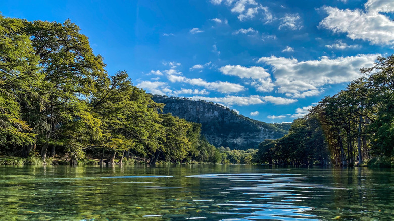 Trees and grass line the Frio River as it flows through a Texas state park.