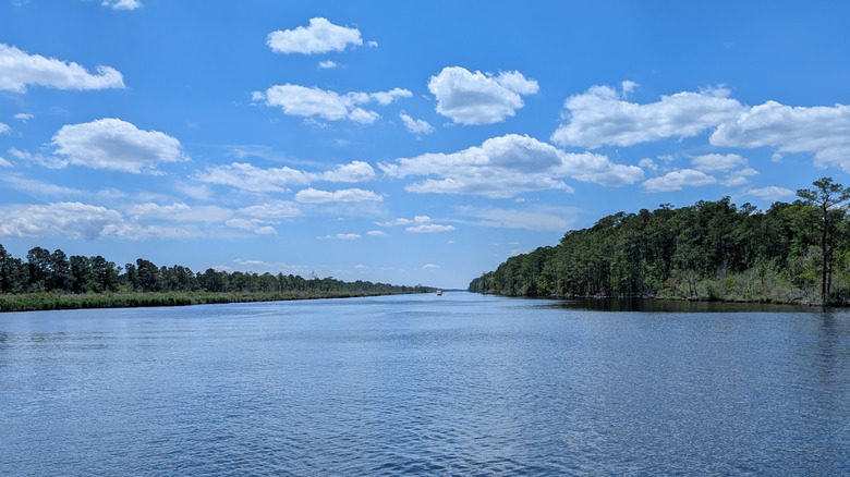 a river flowing through the Emily and Richardson Preyer Buckridge Reserve on a clear day