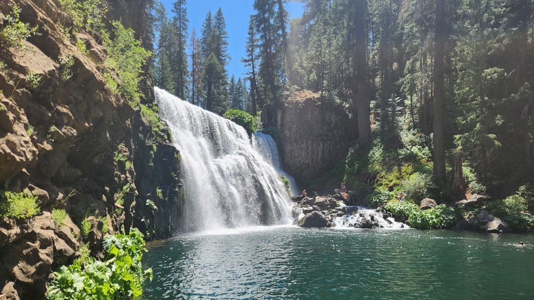 One of the famous three waterfalls in McCloud