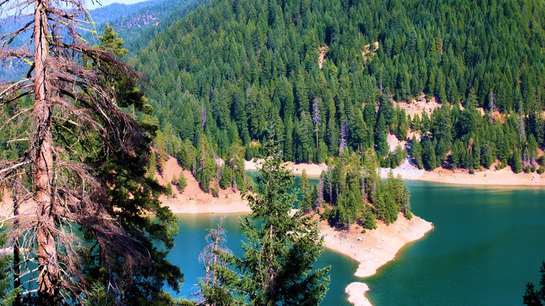 Aerial view of the McCloud reservoir