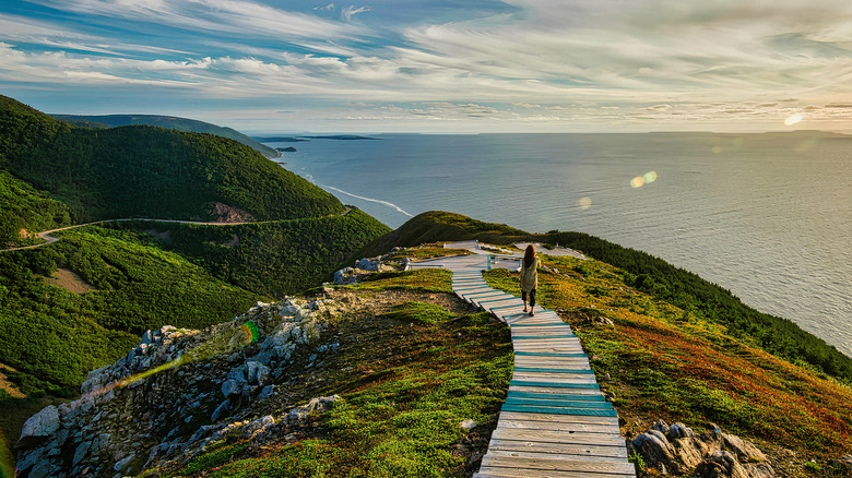 Hiker on the Skyline Trail on Cape Breton Island
