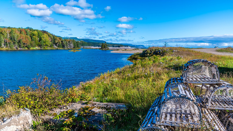 Crab traps along the Cabot Trail overlooking the ocean.