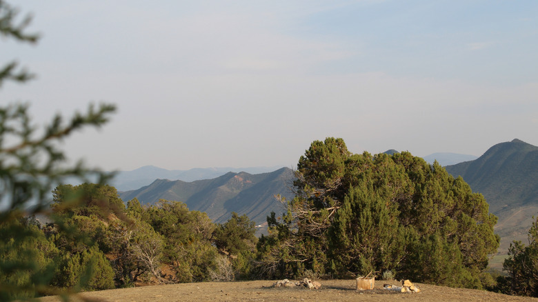 A campground on the mountains behind Harvey Gap State Park, Colorado