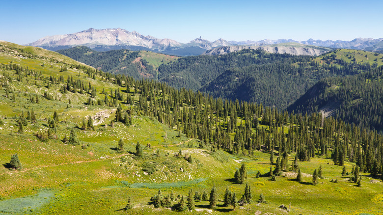View of San Juan Mountains from Blackhawk Pass along Colorado Trail, near Rico